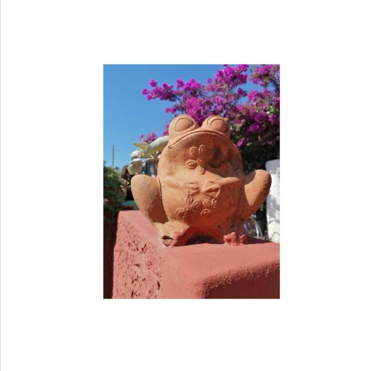 Villino Miraglia Panzió Lingua Kültér fotó